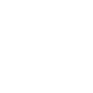 Copyright & Patent Protection